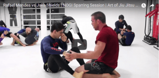 Rafael Mendes vs Jake Shields | NOGI Sparring Session