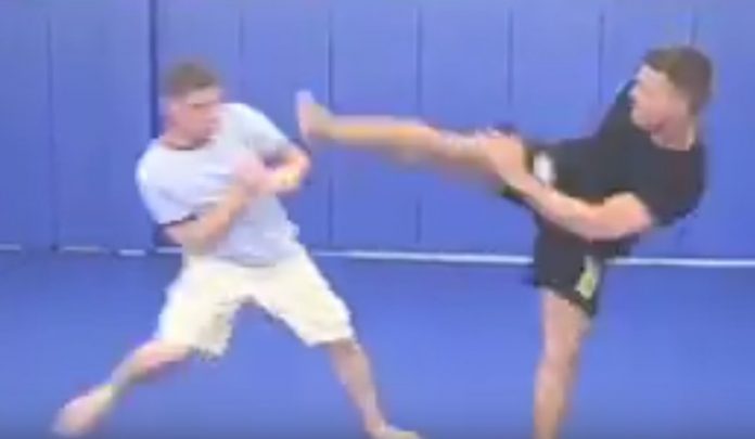 Kung Fu vs BJJ in Renzo's Gym