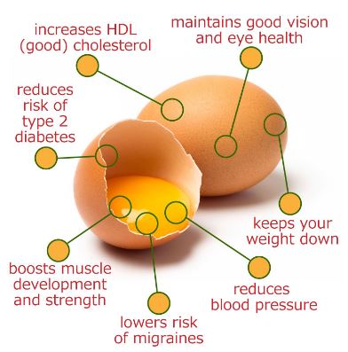 Eggs - The Forgotten Superfood For Ultimate Athleticism (Recipe ...