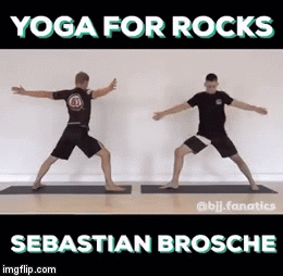 Yoga For BJJ Sebastian Brosche Review OF The Yoga For Rocks DVD