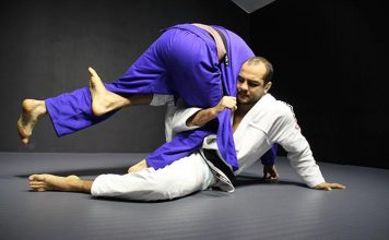 Dual Nature Of the Half Guard