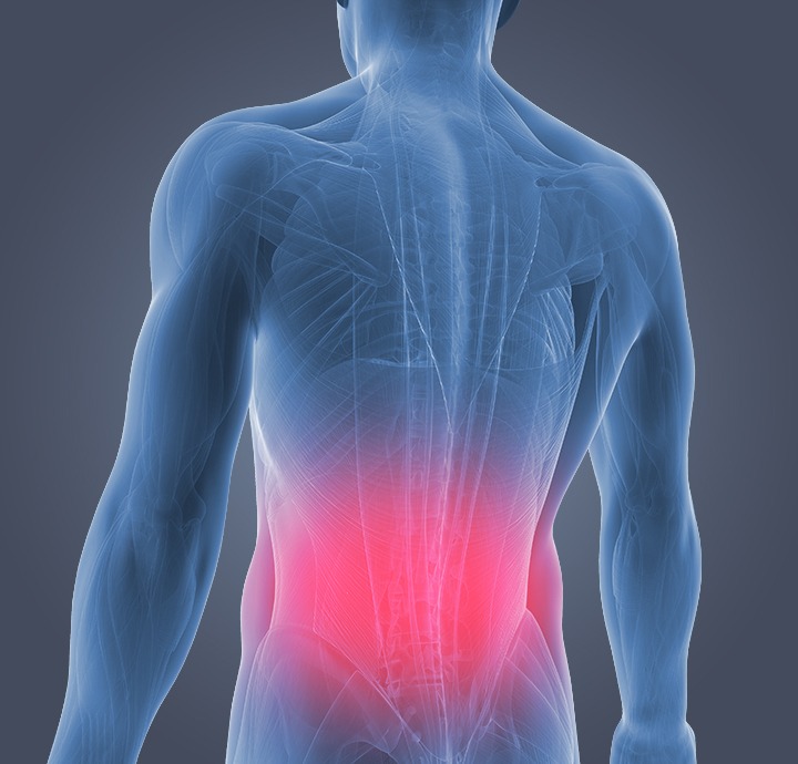 BJJ Lower Back pain Sciatica stretch