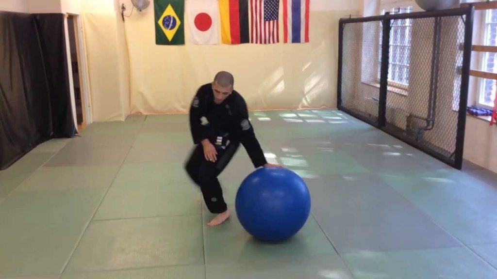 Stability Ball For BJJ