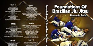 Bernardo Faria DVD Foundations Of BJJ