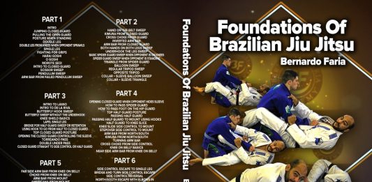 Bernardo Faria DVD Foundations Of BJJ