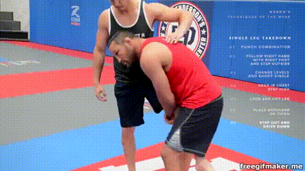 Jiu-Jitsu Techniques