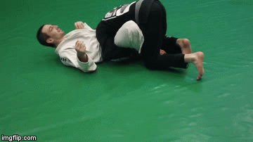 Butterfly Guard Passes Hip Switch