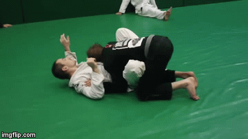 Butterfly Guard Passes
