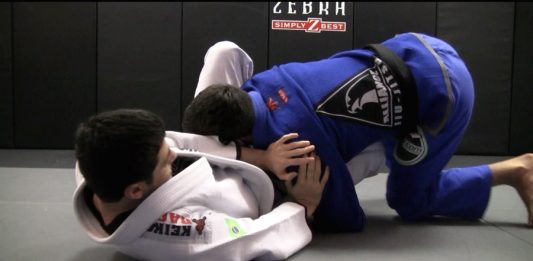 Butterfly Guard Passes