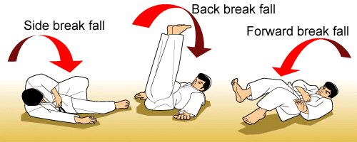 BJJ Break Falls