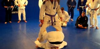 Inverted guard jiu-Jitsu