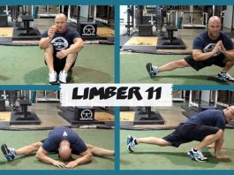 Limber 11 For BJJ Recovery