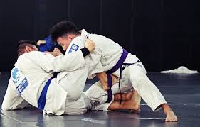 BJJ Game Plateau Solutions