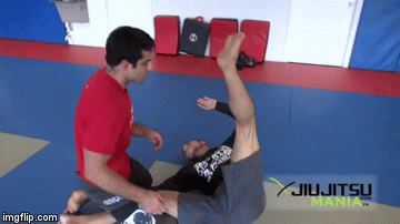 Submission Counters Kneebar