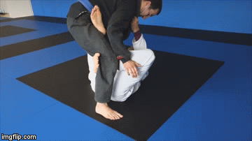 X Guard Submissions Ankle Lock