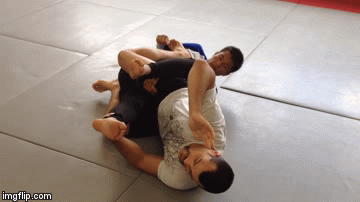Leg Lock Submissions Chain