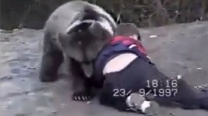 Khabib Nurmagomedow Wrestling With a Bear