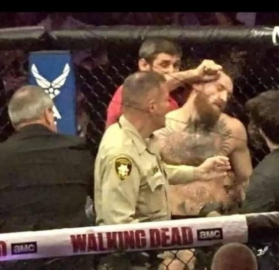 Conor Mcgregor Punched by a guy from Khabib's team