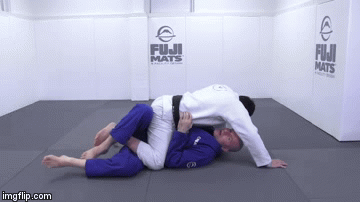 Review: GO Further Faster Pin Escapes And Turtle Escapes John Danaher Gi DVD Instructional