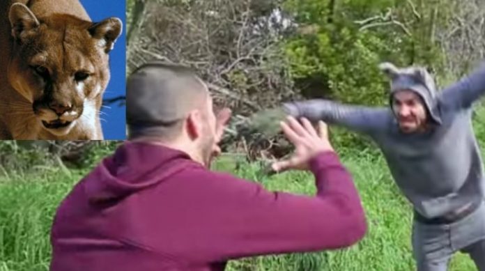 How to Use Jiu-Jitsu when attacked by a Mountain Lion