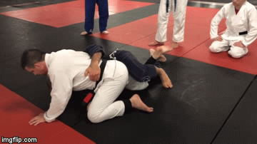 BJJ Dogfight Position Sweep