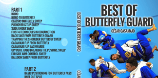 "Best Of Butterfly Guard" Cesar Casamajo DVD Review