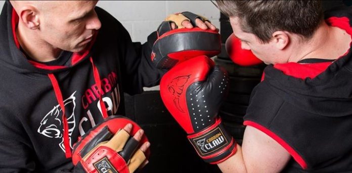The Only Guide you'll Need For the Best MMA Focus Mitts of 2019, With Detailed reviews