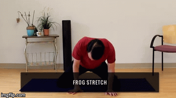 7 BJJ Hip Mobility Exercises frog stretch