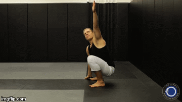 REVIEW: Yoga For Grapplers Nicolas Gregoriades instructional
