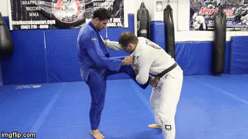 BJJ Pull Guard Counters Basic