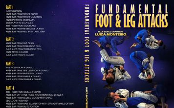 Luiza monteiro DVD IBJJF Legal leglocks Full REview
