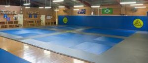 Everything About BJJ Mats From Buying To Cleaning