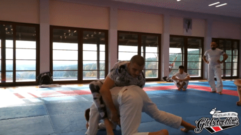 Inverted backmount Position Attacks