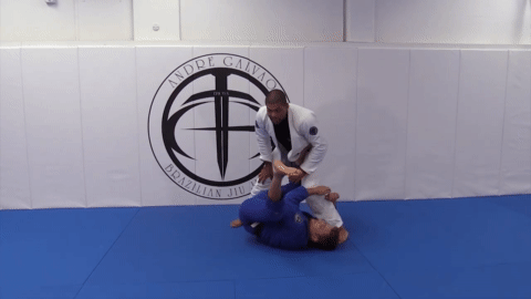 Andre Galvao DVD: Passing Modern Guards Sample 2
