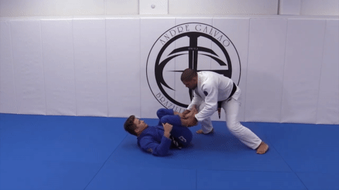 Andre Galvao DVD: Passing Modern Guards Sample 1