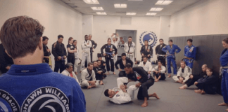 The Value Of A BJJ Curriculum