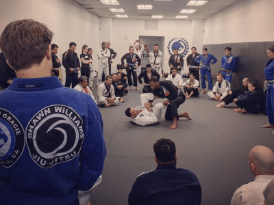 The Value Of A BJJ Curriculum