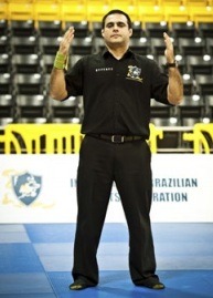 BJJ Referee Hand Gestures approach