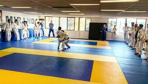 Learn BJJ: Best New Year's Resolutions