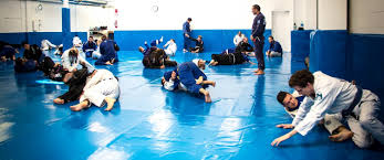 Returning To Brazilian JIu-Jitsu Training