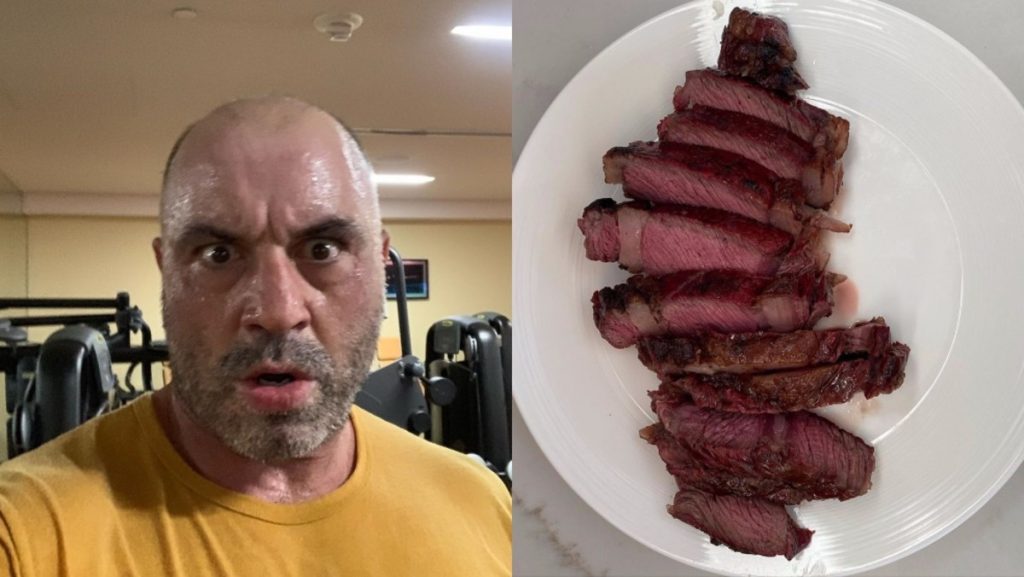 The Carnivore Diet For BJJ