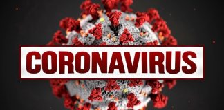 Coronavirus BJJ Guidelines For Protection