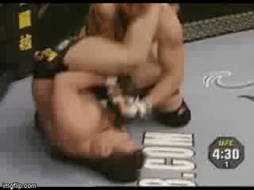 Painful BJJ Submissions: Mir Armbar