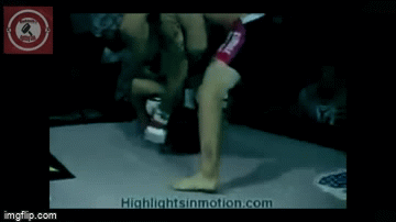 Painful BJj Submissions Belyl Down Armbar Break MMA