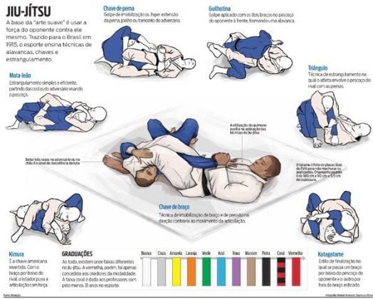 How Many Brazilian Jiu-Jitsu Techniques Do You Really Need? - BJJ World