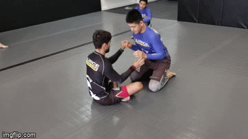 butterfly sweep inverted armbar