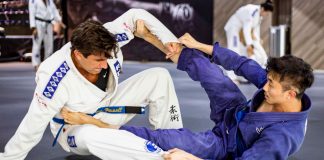 How long does it take to master a Brazilian Jiu-Jitsu Technique