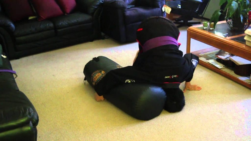 BJJ Heavy Bag Drills For Movement And Top Pressure BJJ World