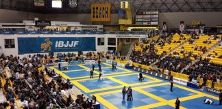 BJJ stars without World titles