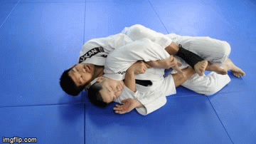 BJJ Chicken Wing Back Control